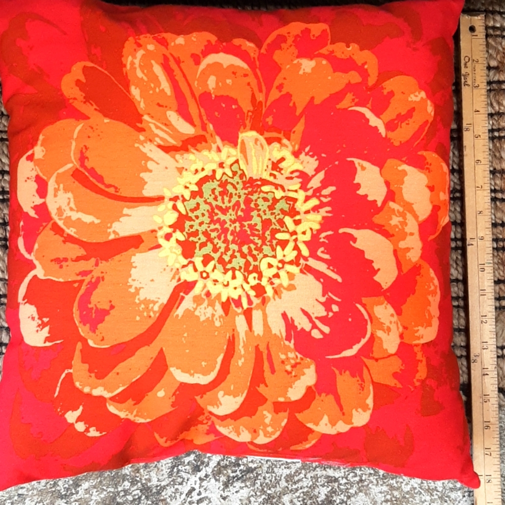 Indoor/outdoor pillow!!!